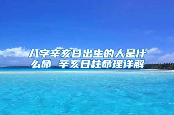 八字辛亥日出生的人是什么命 辛亥日柱命理详解