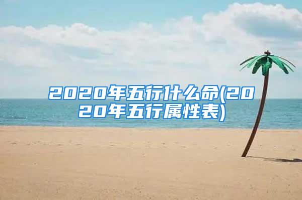 2020年五行什么命(2020年五行属性表)