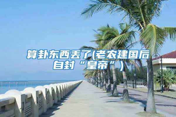 算卦东西丢了(老农建国后自封“皇帝”)