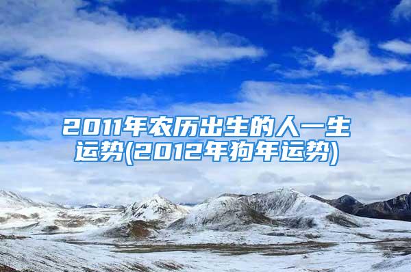 2011年农历出生的人一生运势(2012年狗年运势)