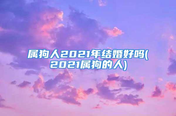 属狗人2021年结婚好吗(2021属狗的人)