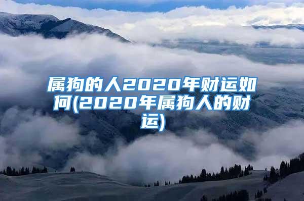 属狗的人2020年财运如何(2020年属狗人的财运)