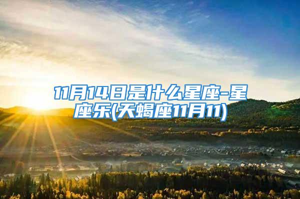 11月14日是什么星座-星座乐(天蝎座11月11)