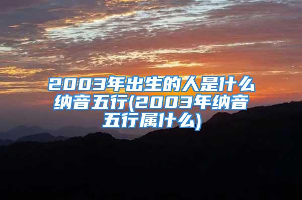 2003年出生的人是什么纳音五行(2003年纳音五行属什么)