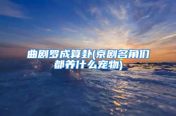 曲剧罗成算卦(京剧名角们都养什么宠物)