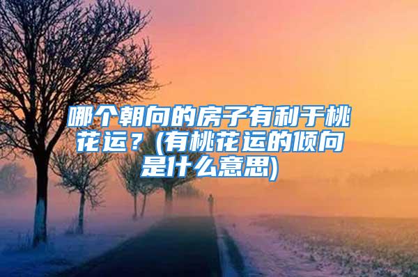 哪个朝向的房子有利于桃花运？(有桃花运的倾向是什么意思)