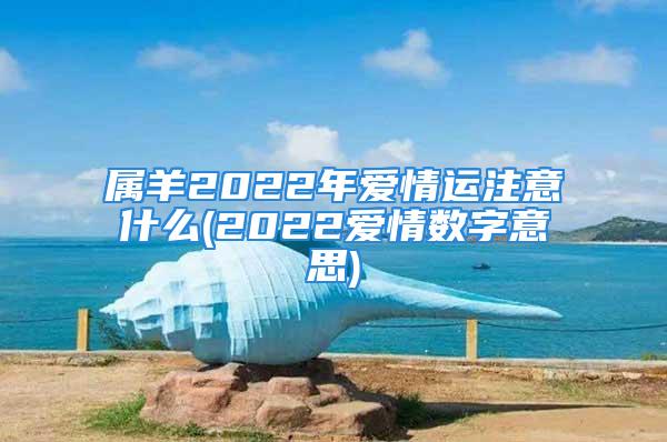 属羊2022年爱情运注意什么(2022爱情数字意思)