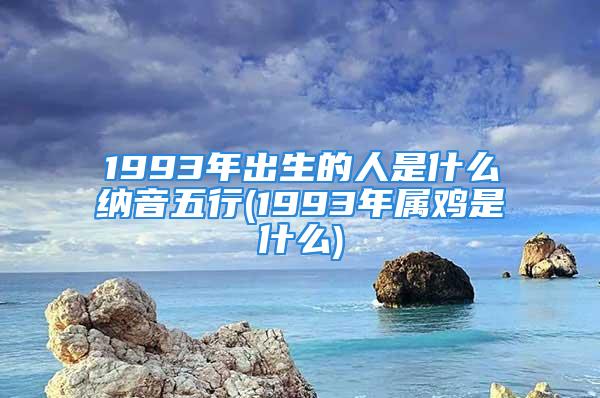 1993年出生的人是什么纳音五行(1993年属鸡是什么)