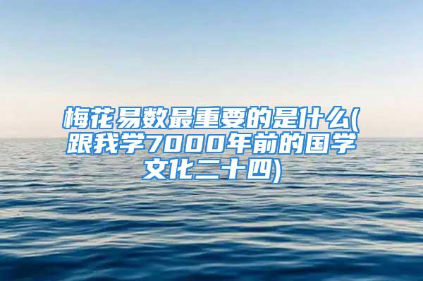 梅花易数最重要的是什么(跟我学7000年前的国学文化二十四)