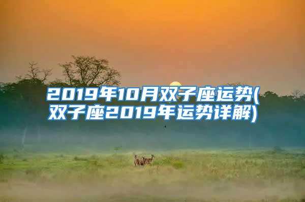 2019年10月双子座运势(双子座2019年运势详解)