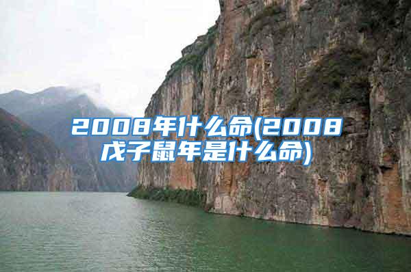 2008年什么命(2008戊子鼠年是什么命)