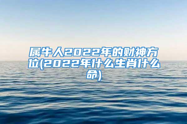 属牛人2022年的财神方位(2022年什么生肖什么命)