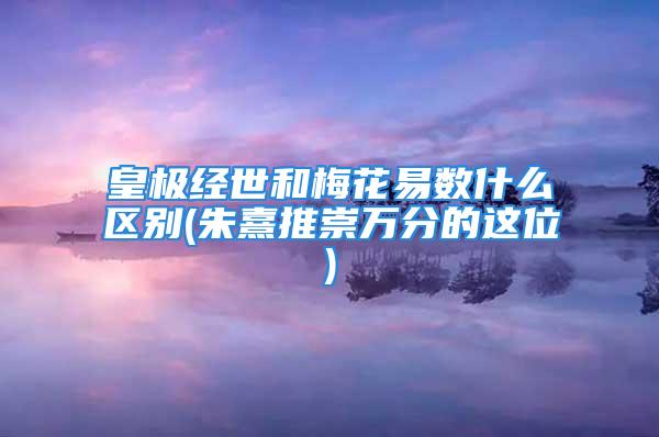 皇极经世和梅花易数什么区别(朱熹推崇万分的这位)