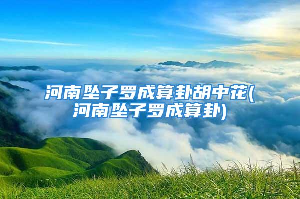 河南坠子罗成算卦胡中花(河南坠子罗成算卦)