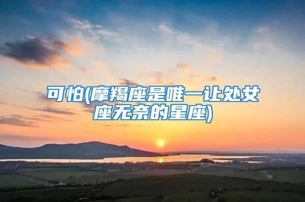 可怕(摩羯座是唯一让处女座无奈的星座)