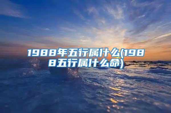 1988年五行属什么(1988五行属什么命)