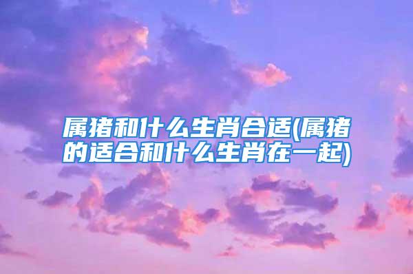 属猪和什么生肖合适(属猪的适合和什么生肖在一起)