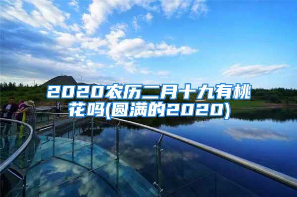 2020农历二月十九有桃花吗(圆满的2020)