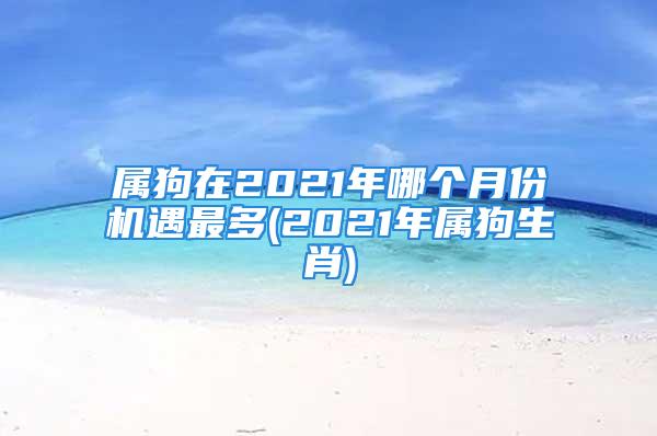 属狗在2021年哪个月份机遇最多(2021年属狗生肖)