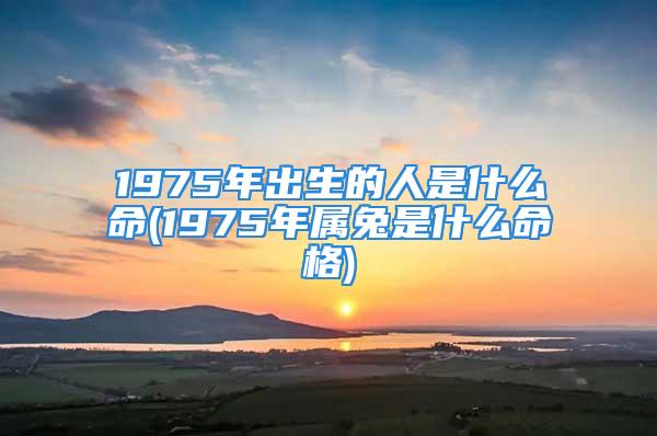 1975年出生的人是什么命(1975年属兔是什么命格)