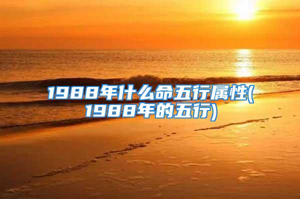 1988年什么命五行属性(1988年的五行)