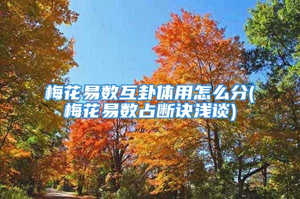 梅花易数互卦体用怎么分(梅花易数占断诀浅谈)