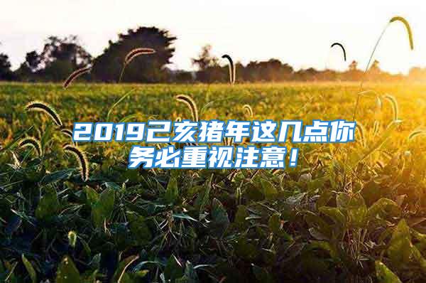 2019己亥猪年这几点你务必重视注意！