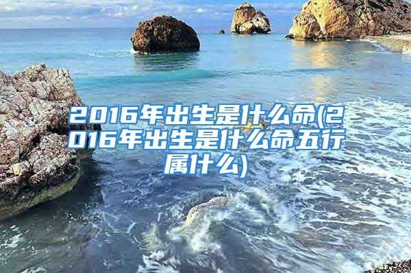 2016年出生是什么命(2016年出生是什么命五行属什么)