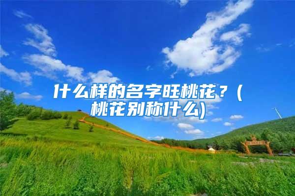 什么样的名字旺桃花？(桃花别称什么)