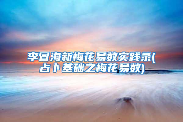 李冒海新梅花易数实践录(占卜基础之梅花易数)