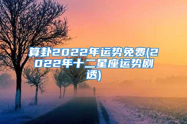 算卦2022年运势免费(2022年十二星座运势剧透)