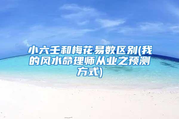 小六壬和梅花易数区别(我的风水命理师从业之预测方式)