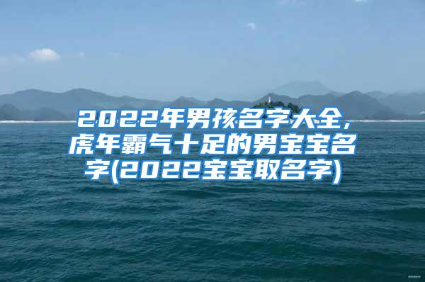 2022年男孩名字大全,虎年霸气十足的男宝宝名字(2022宝宝取名字)