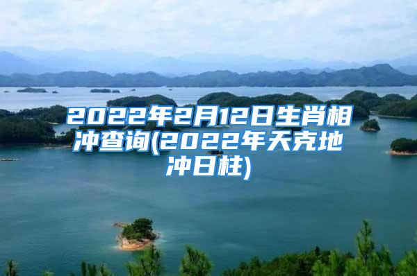 2022年2月12日生肖相冲查询(2022年天克地冲日柱)