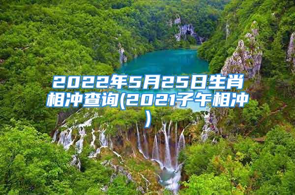 2022年5月25日生肖相冲查询(2021子午相冲)