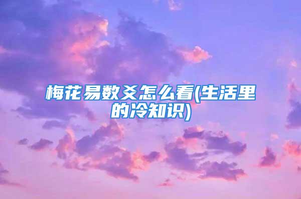 梅花易数爻怎么看(生活里的冷知识)