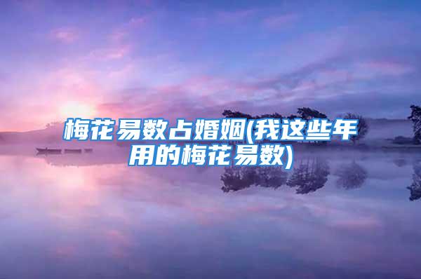 梅花易数占婚姻(我这些年用的梅花易数)