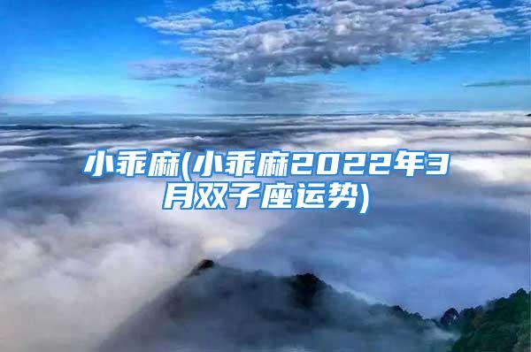 小乖麻(小乖麻2022年3月双子座运势)