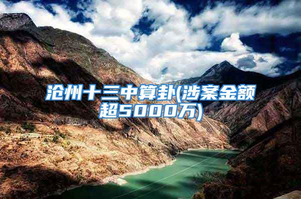 沧州十三中算卦(涉案金额超5000万)