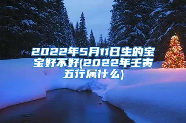 2022年5月11日生的宝宝好不好(2022年壬寅五行属什么)