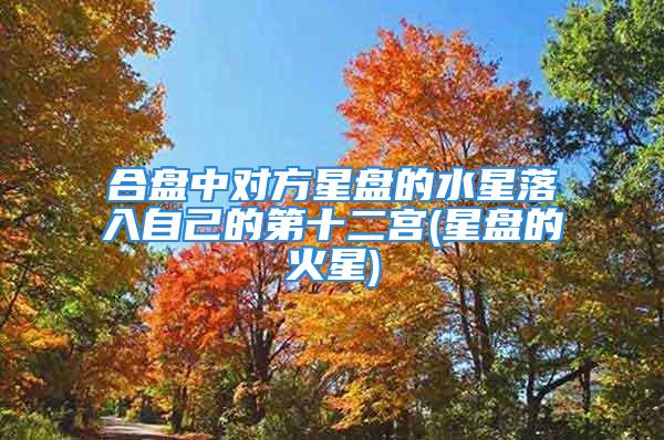 合盘中对方星盘的水星落入自己的第十二宫(星盘的火星)