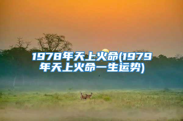 1978年天上火命(1979年天上火命一生运势)