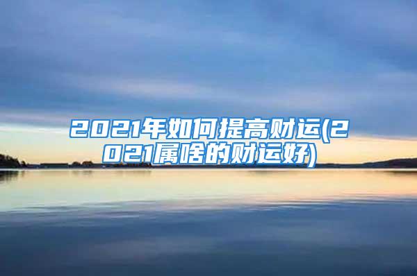 2021年如何提高财运(2021属啥的财运好)