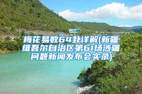 梅花易数64卦详解(新疆维吾尔自治区第61场涉疆问题新闻发布会实录)