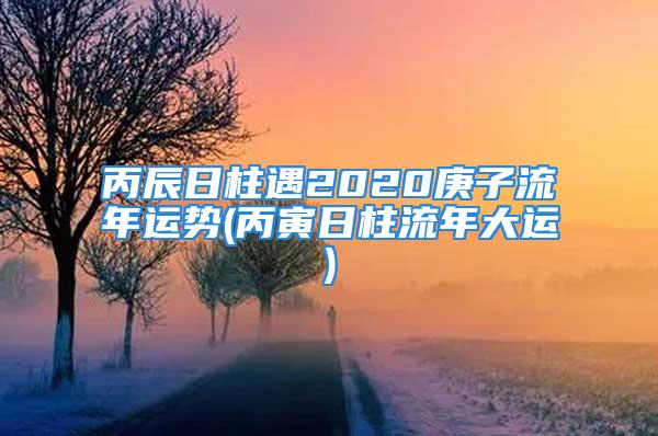 丙辰日柱遇2020庚子流年运势(丙寅日柱流年大运)