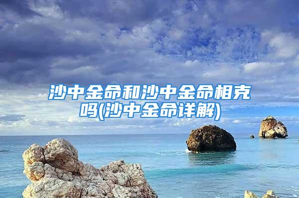 沙中金命和沙中金命相克吗(沙中金命详解)