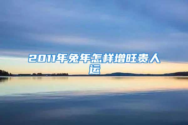 2011年兔年怎样增旺贵人运