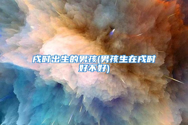 戌时出生的男孩(男孩生在戌时好不好)