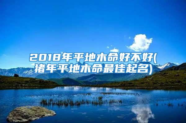 2018年平地木命好不好(猪年平地木命最佳起名)