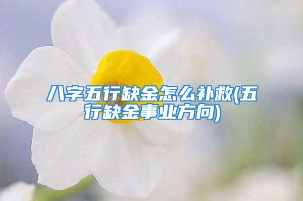 八字五行缺金怎么补救(五行缺金事业方向)